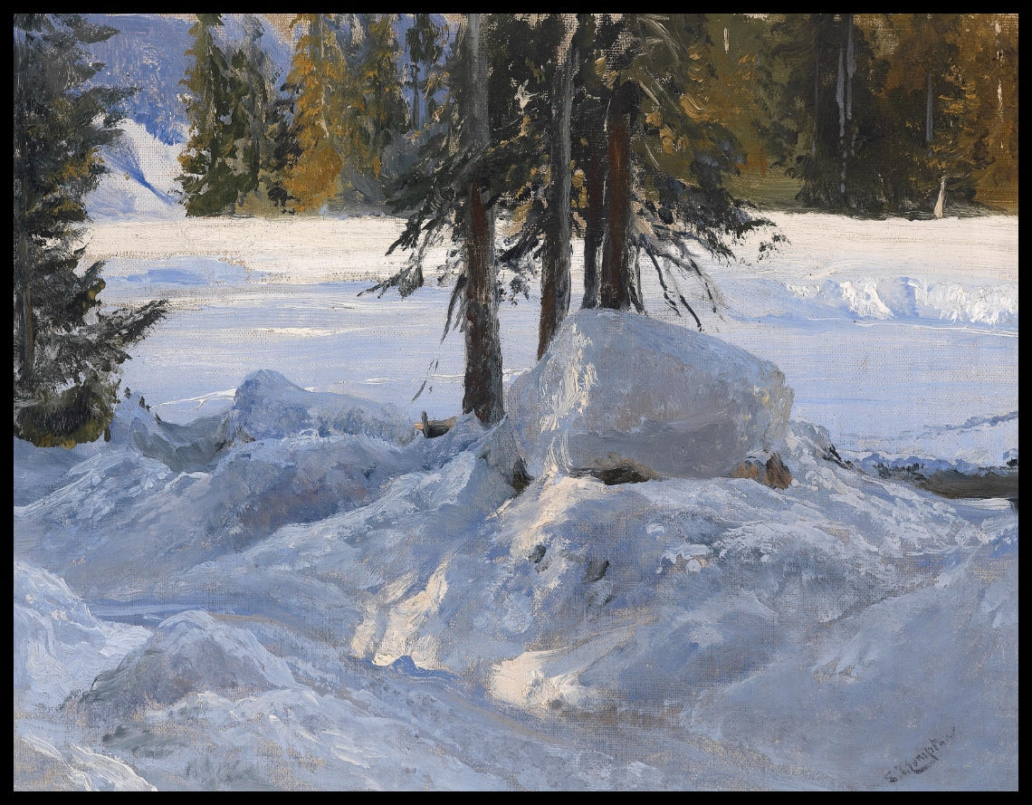 Winter sun