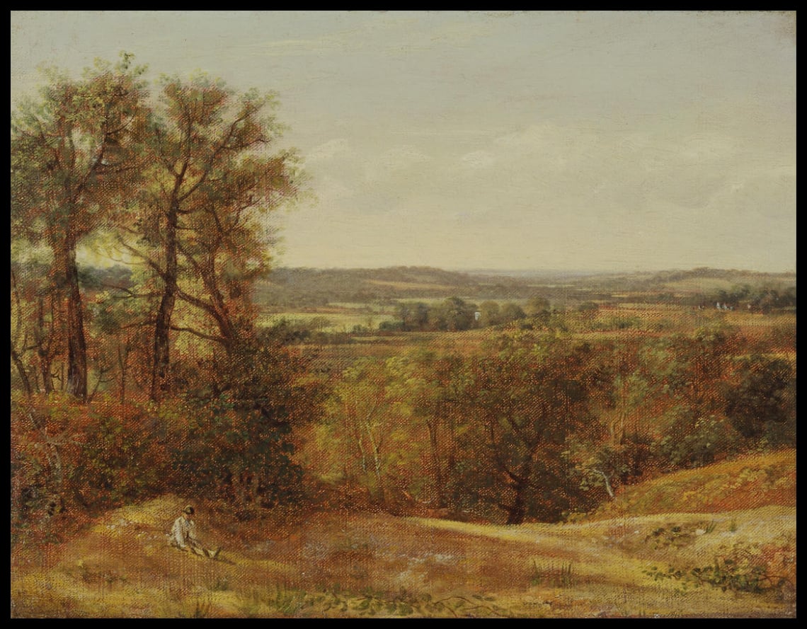 Dedham Vale
