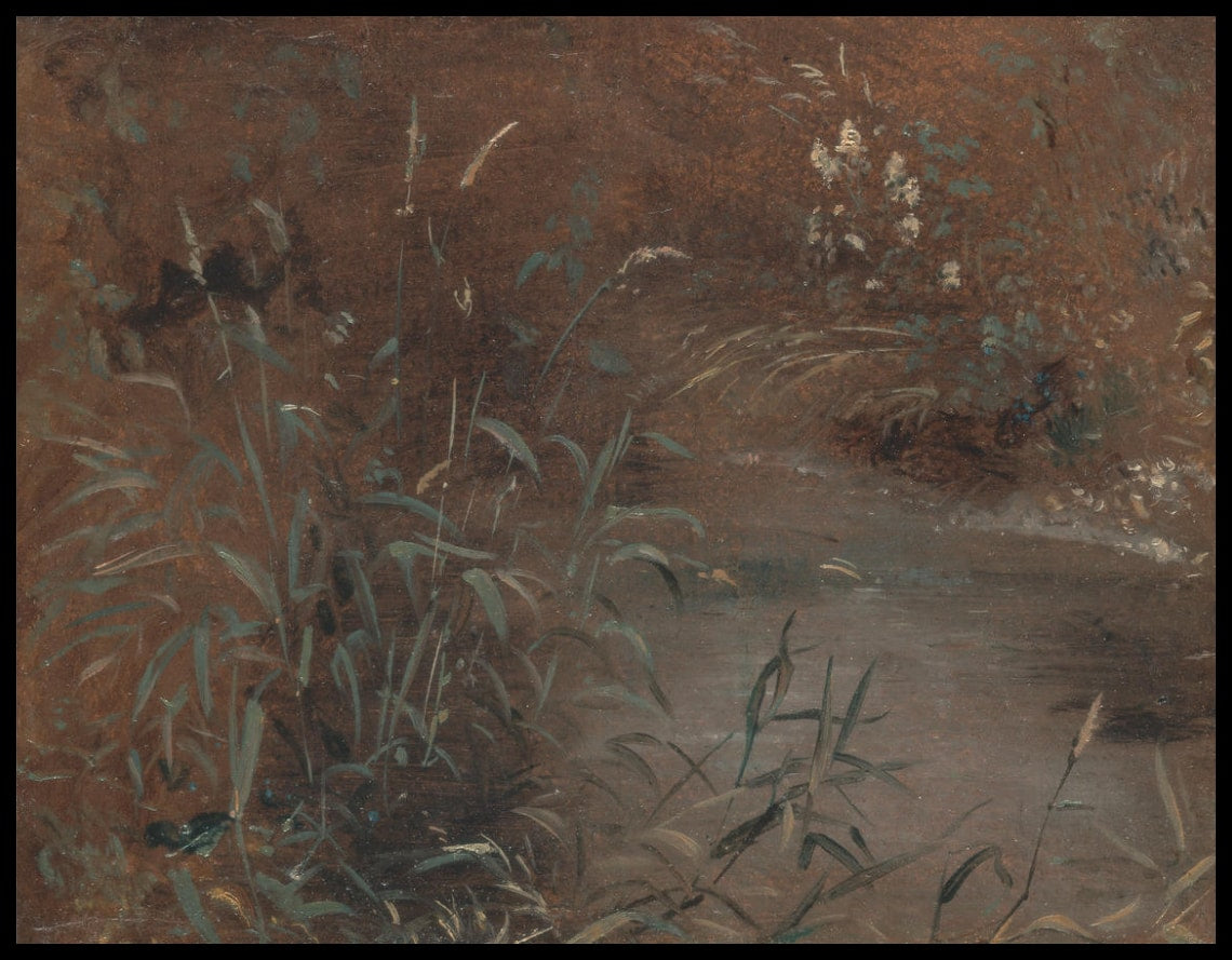 Rushes By Pool