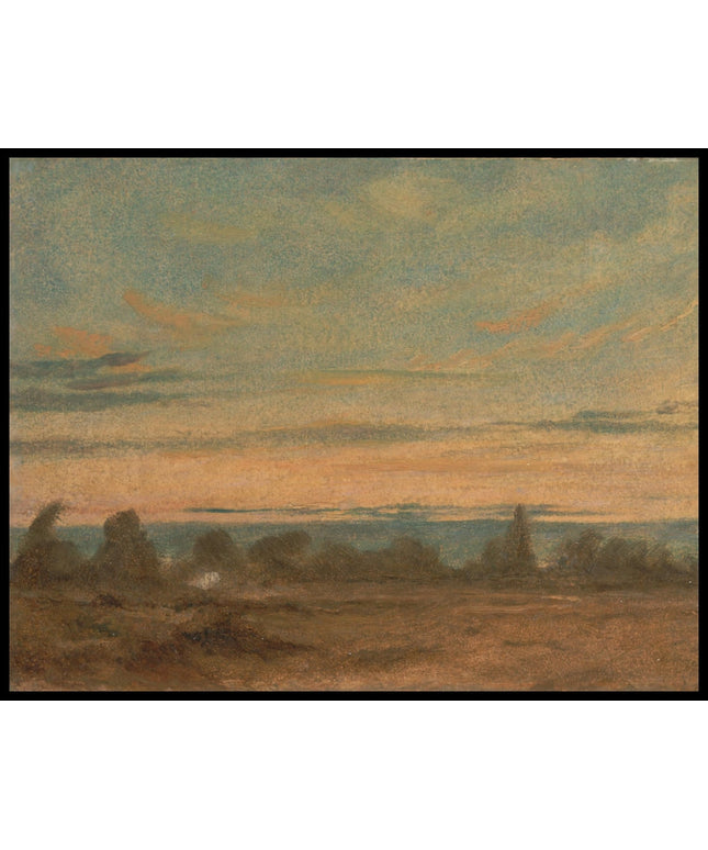 Summer Evening Landscape