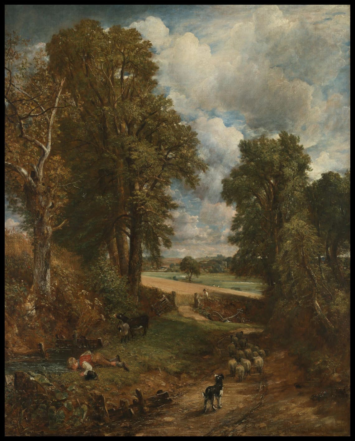 The Cornfield