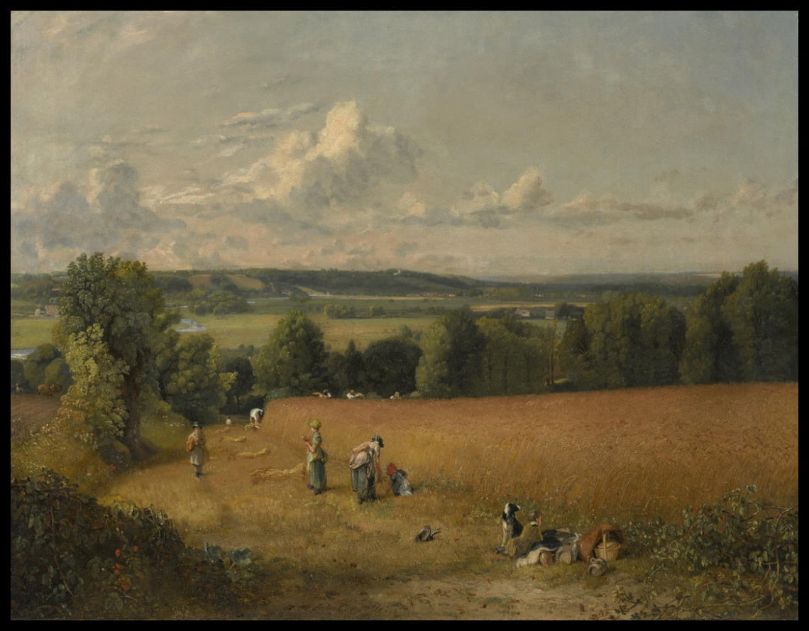 Le champ de blé