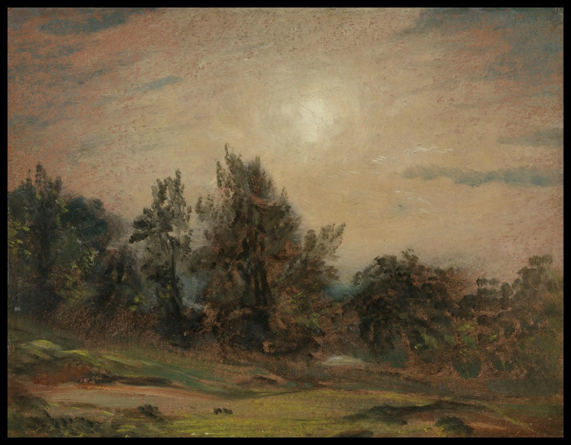 Trees On Hampstead Heath