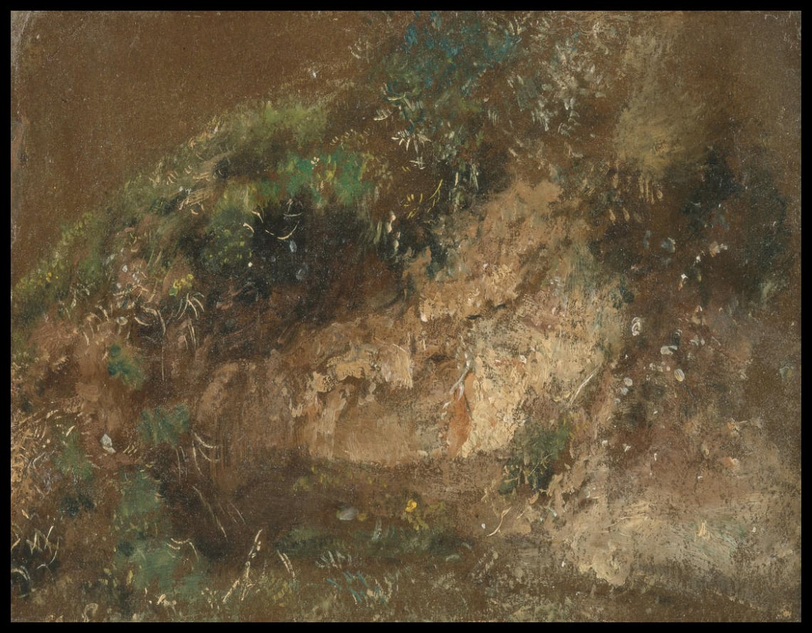 Undergrowth
