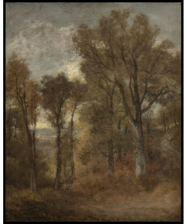 Woodland Scene