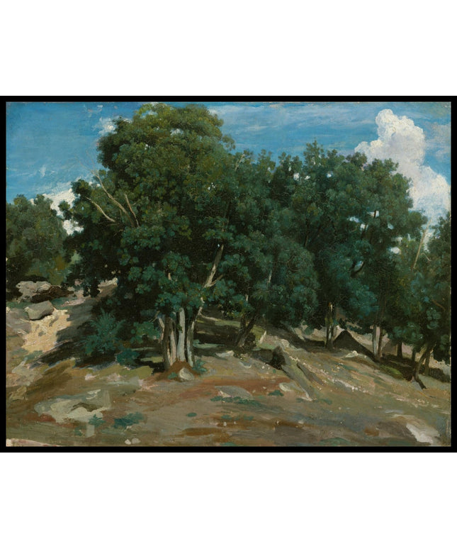 Fontainebleau: Oak Trees at Bas-Bréau