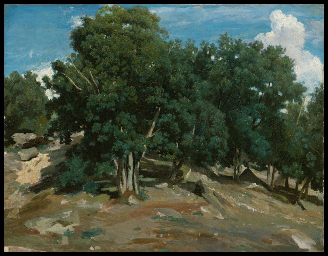 Fontainebleau : Chênes au Bas-Bréau