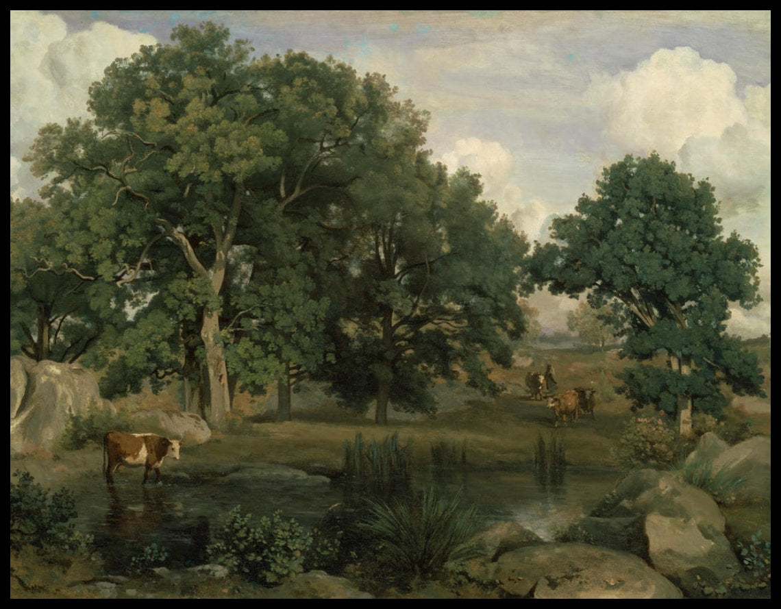 Forêt de Fontainebleau