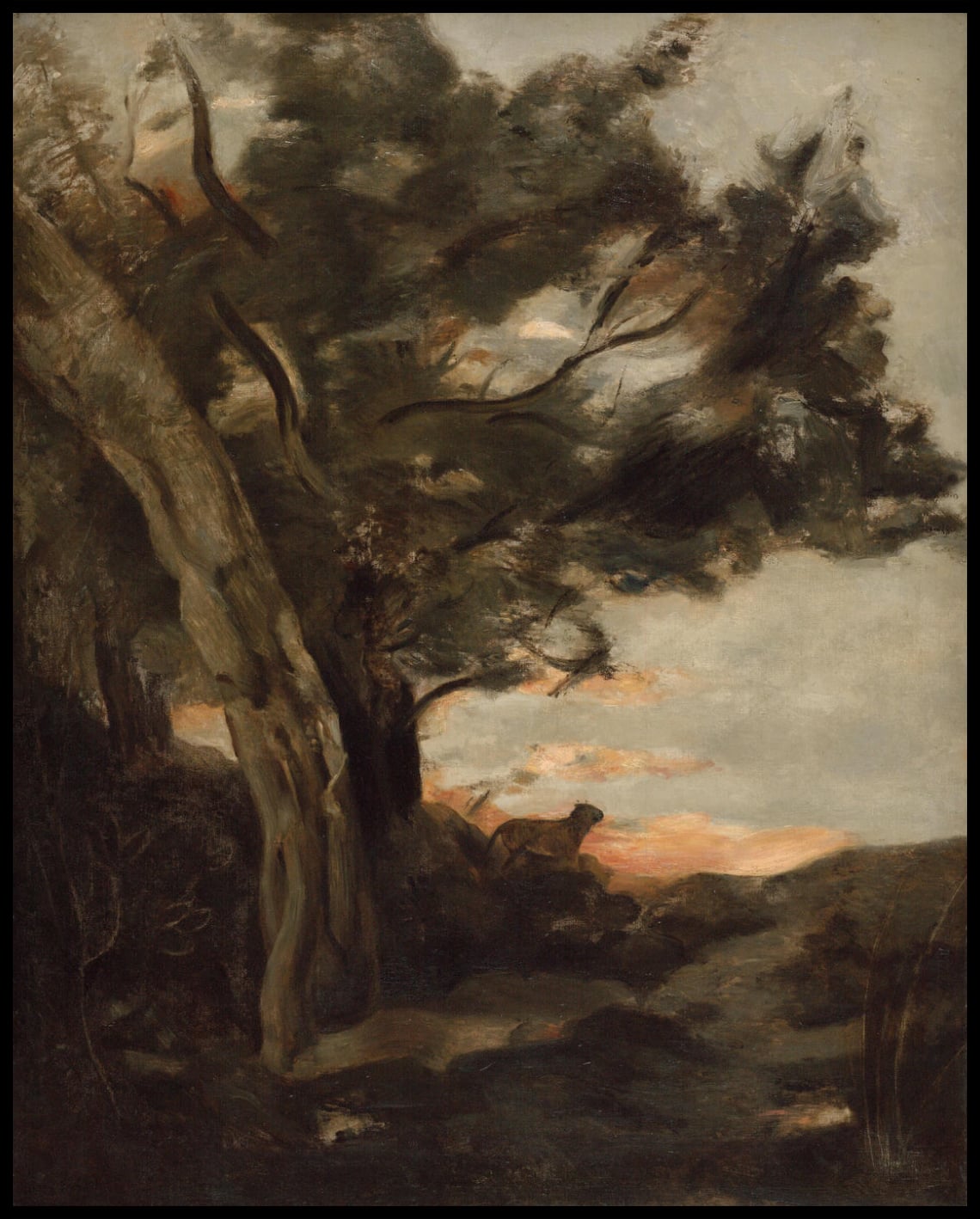 Paysage de nuit avec une lionne