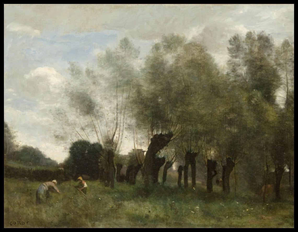 Pollard Willows