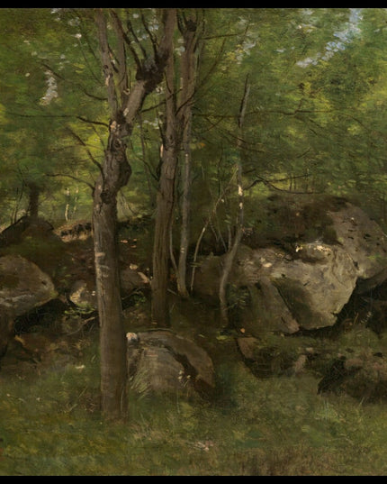 Rocks in the Forest of Fontainebleau