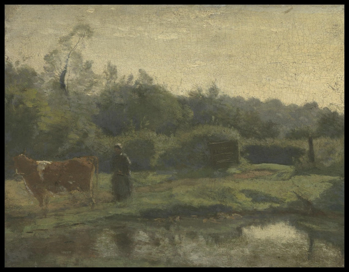 Matin d'été