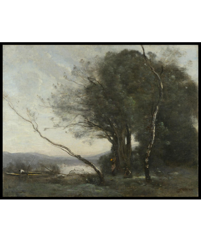 The Leaning Tree Trunk