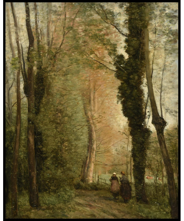 Un chemin sous les arbres au printemps