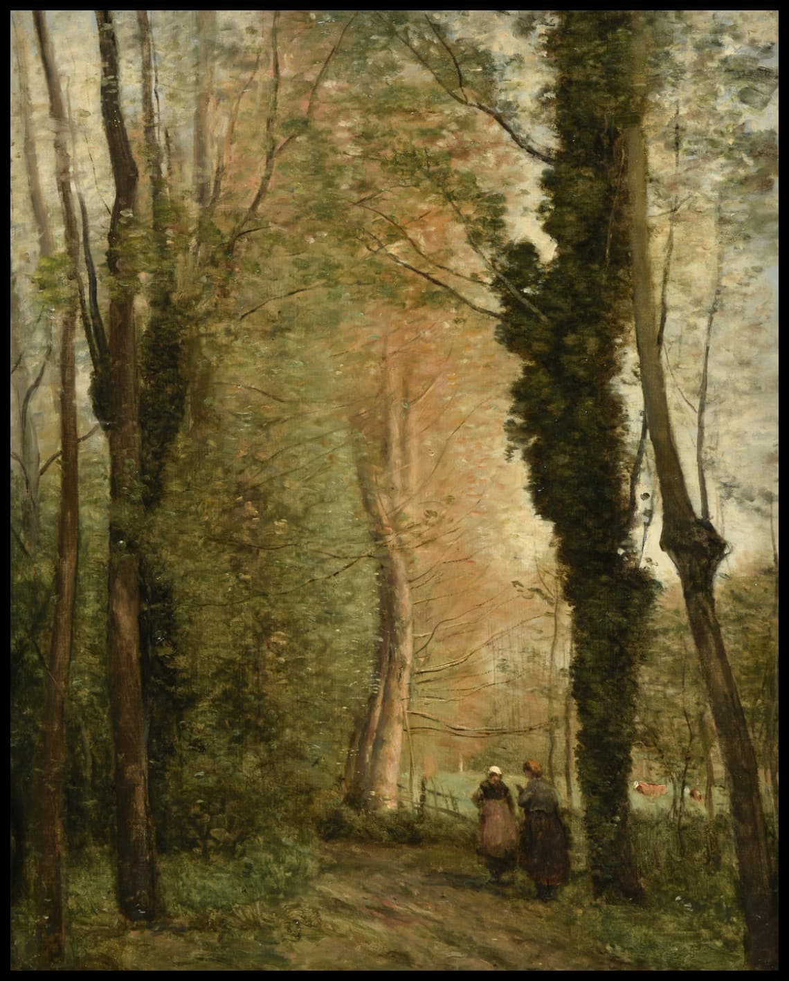 Un chemin sous les arbres au printemps
