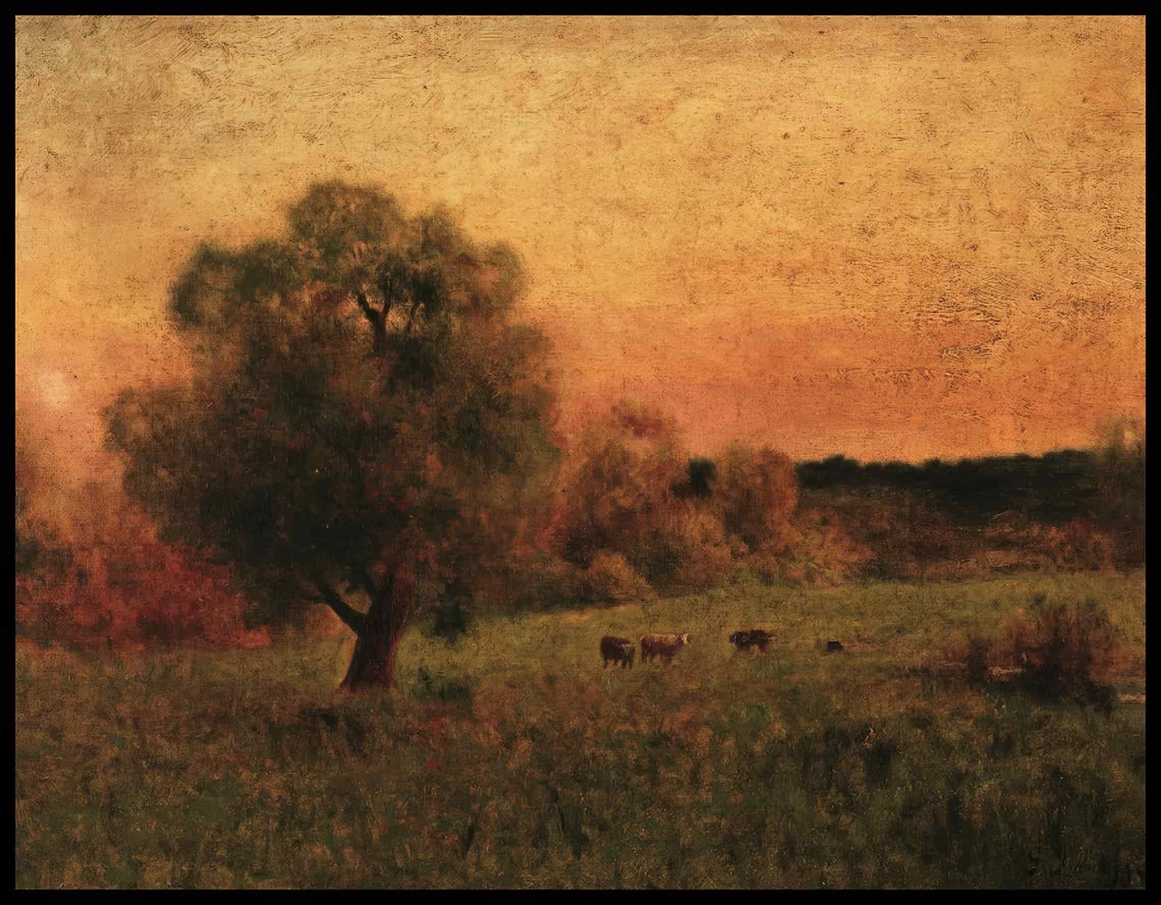Cows In A Field