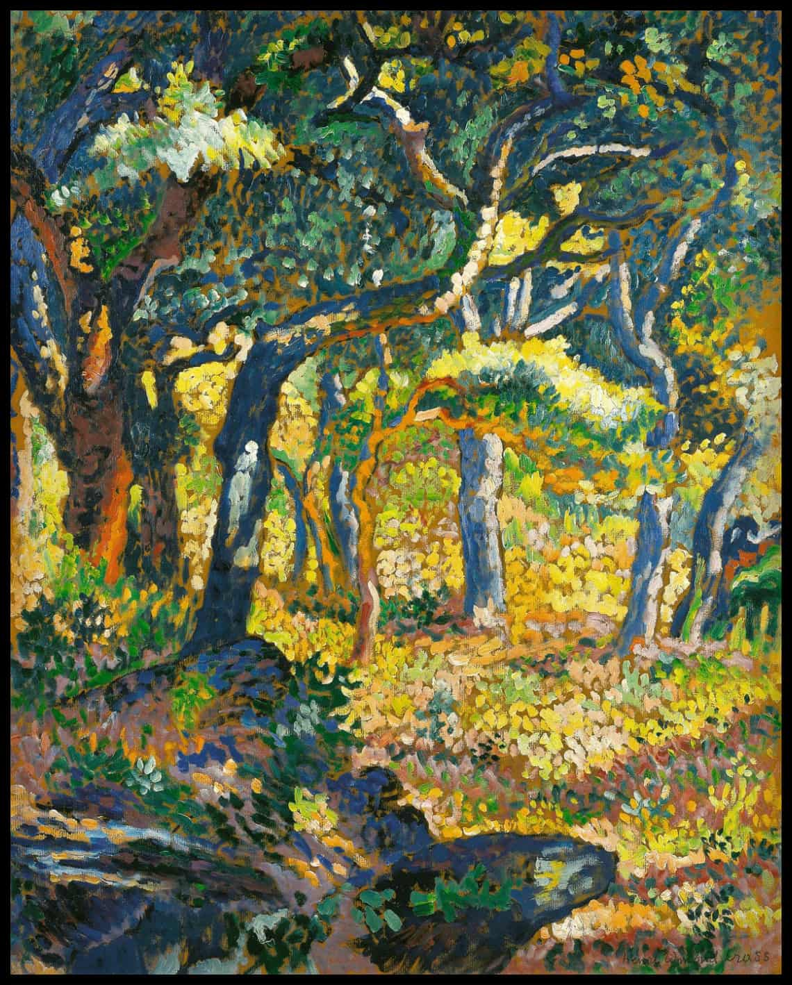 Clearing In Provence