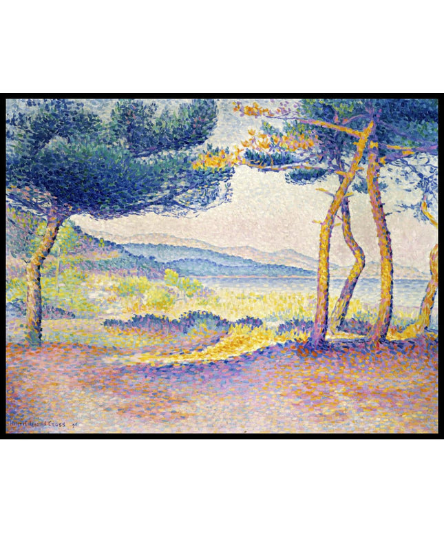 Pines along the Shore