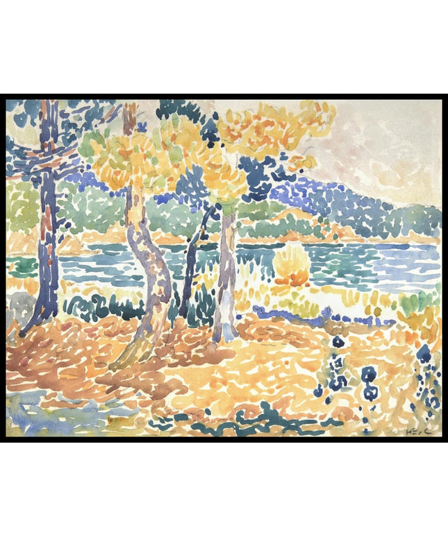 Pines on the Coastline