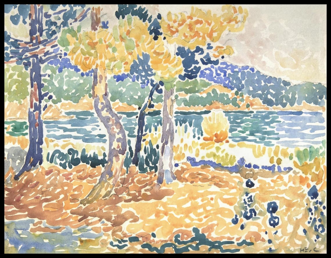 Pins sur la côte