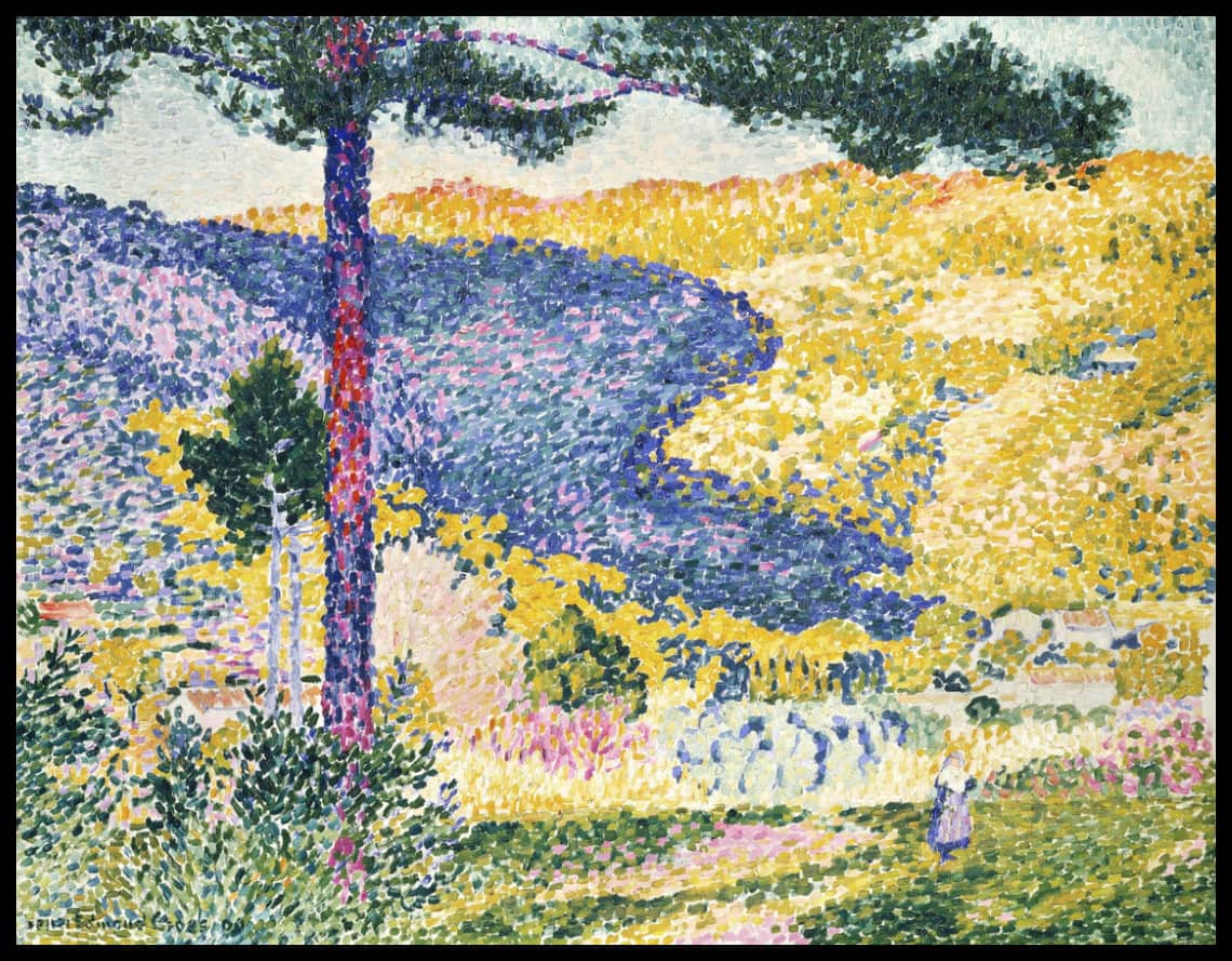 Vallée avec Fir