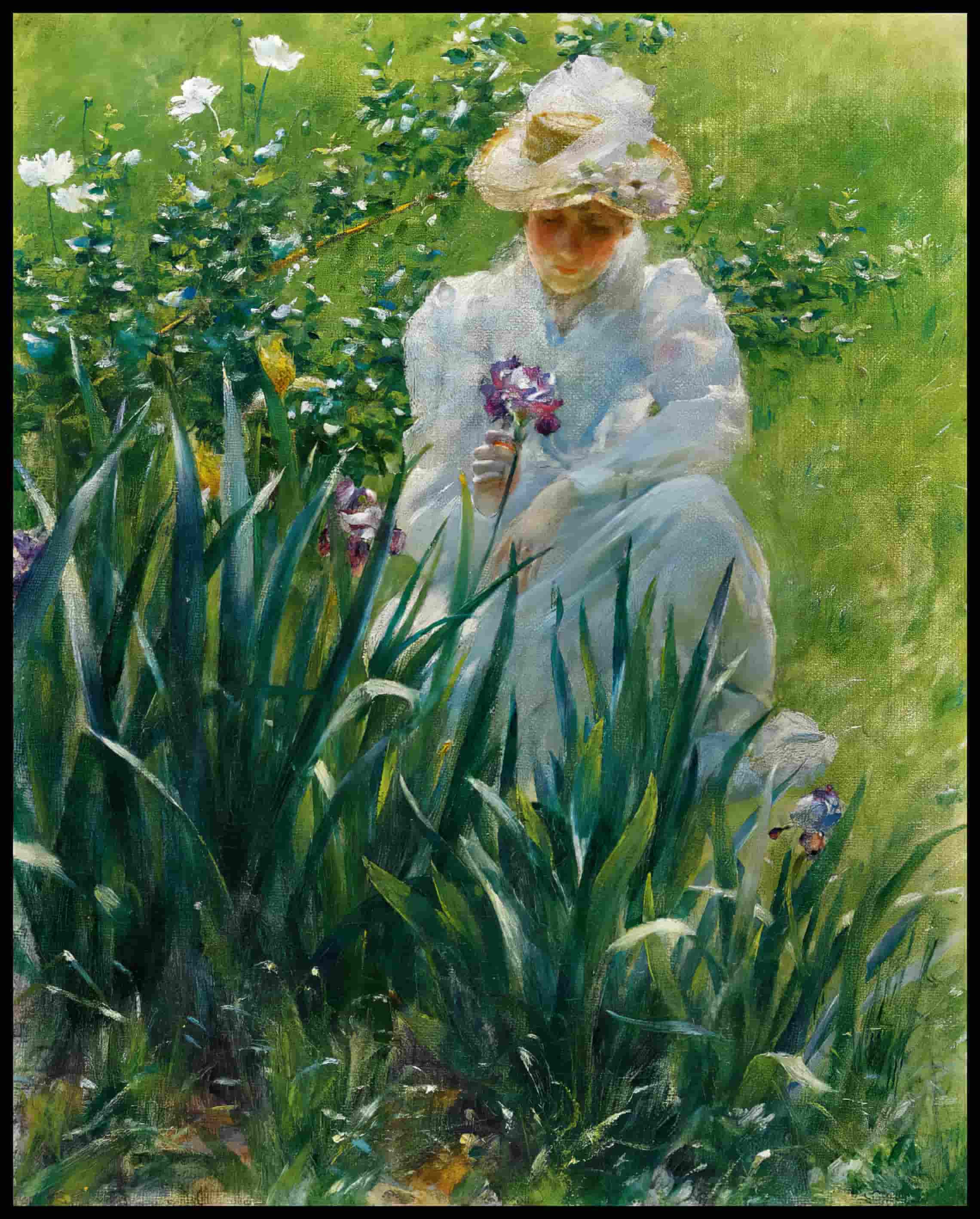 The Iris Bed