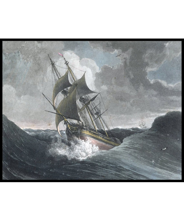 Gale off the Cape of Good Hope