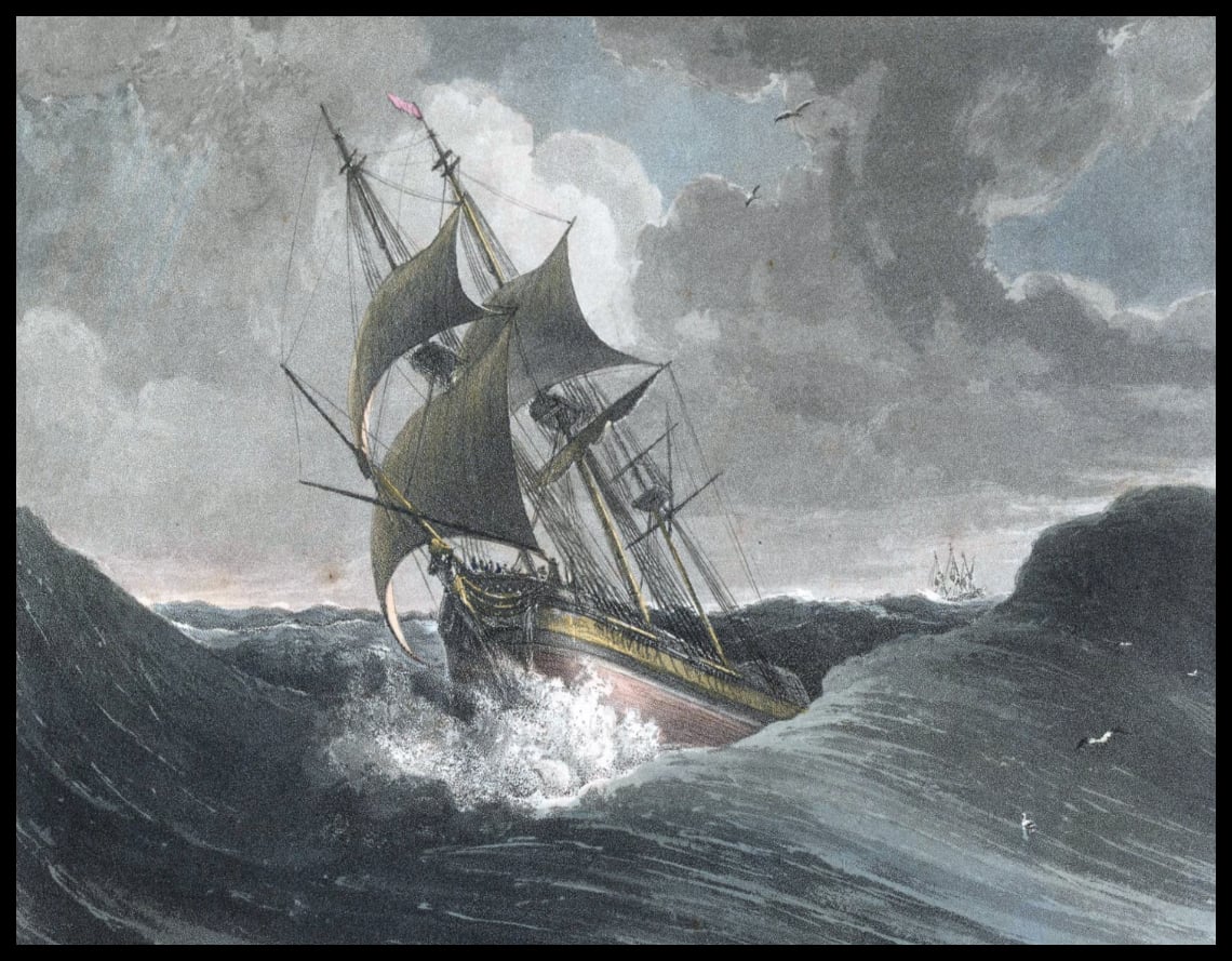 Gale au cap de Bonne-Espérance
