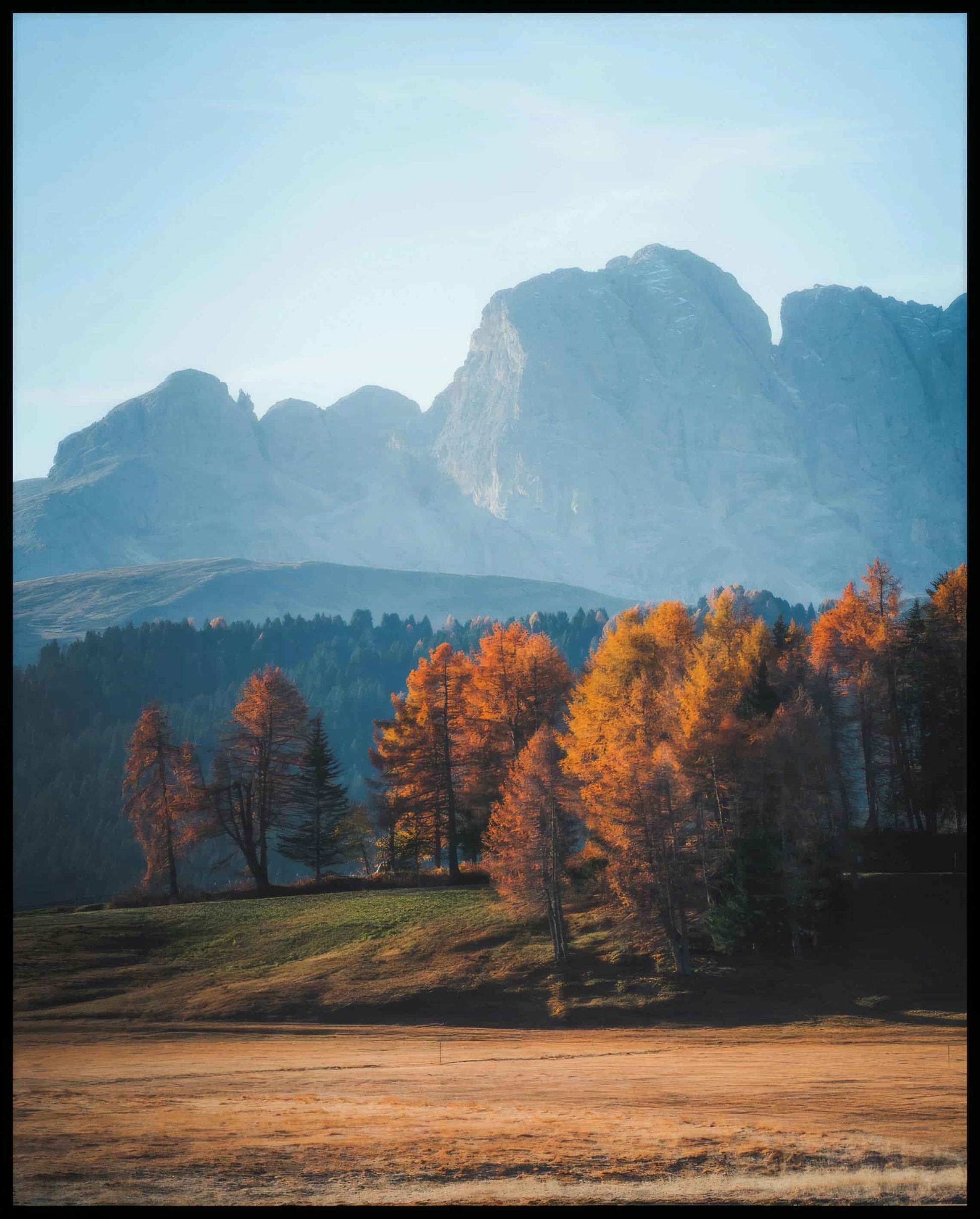 Ein Poster von herbstlich gefärbten Bäumen vor einer Berglandschaft in den Dolomiten.