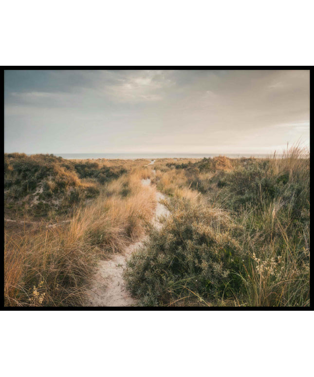 Ein Poster von einer Wanderung durch grasige Dünen.