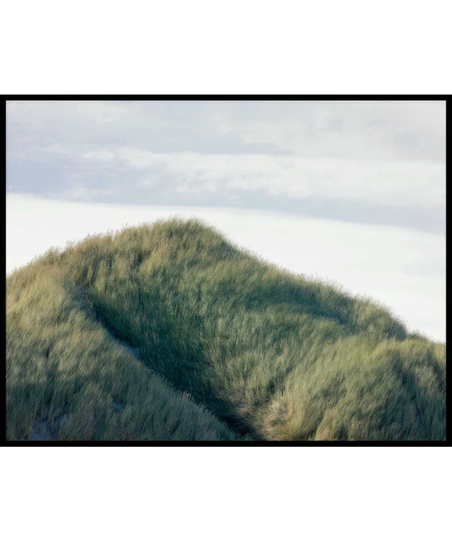 Ein Poster von grünen Gräsern auf einer Sanddüne.