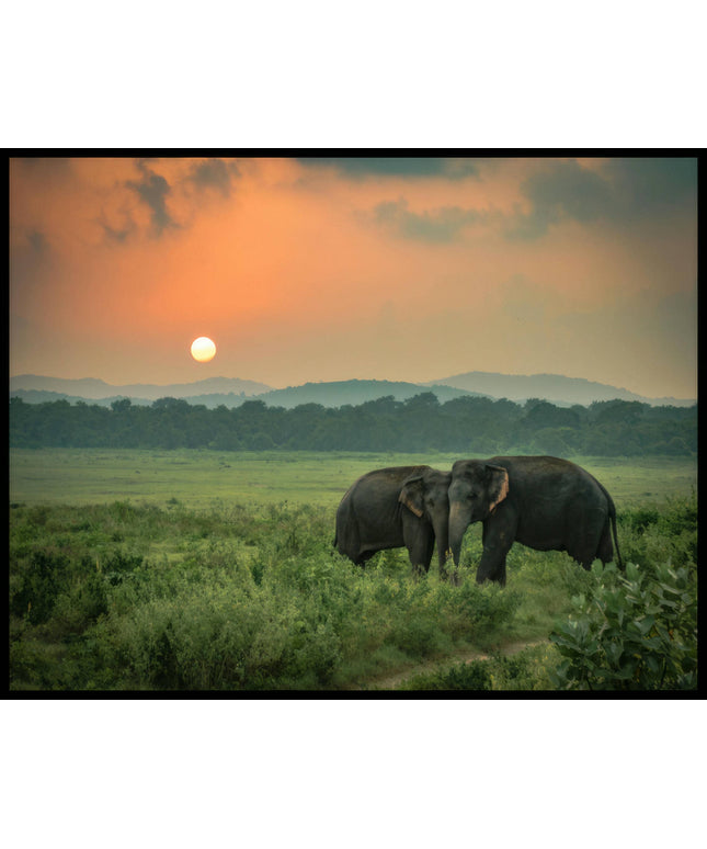 Ein Poster von zwei Elefanten bei Sonnenuntergang in Afrika.