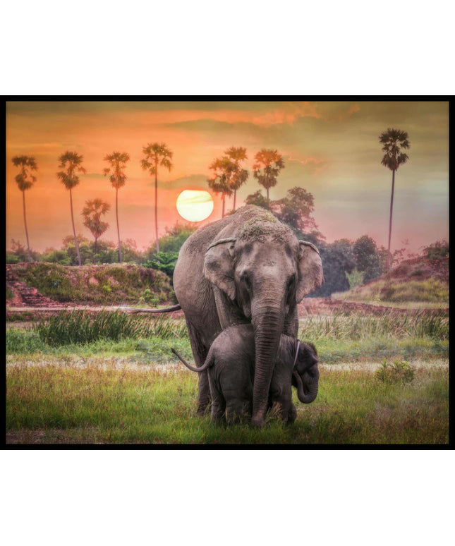 Ein Poster von zwei Elefanten bei Sonnenuntergang in Afrika.