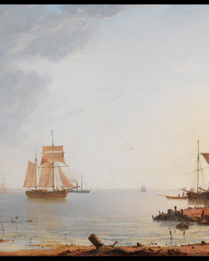 Ships Off the Coast of Zealand. Morning