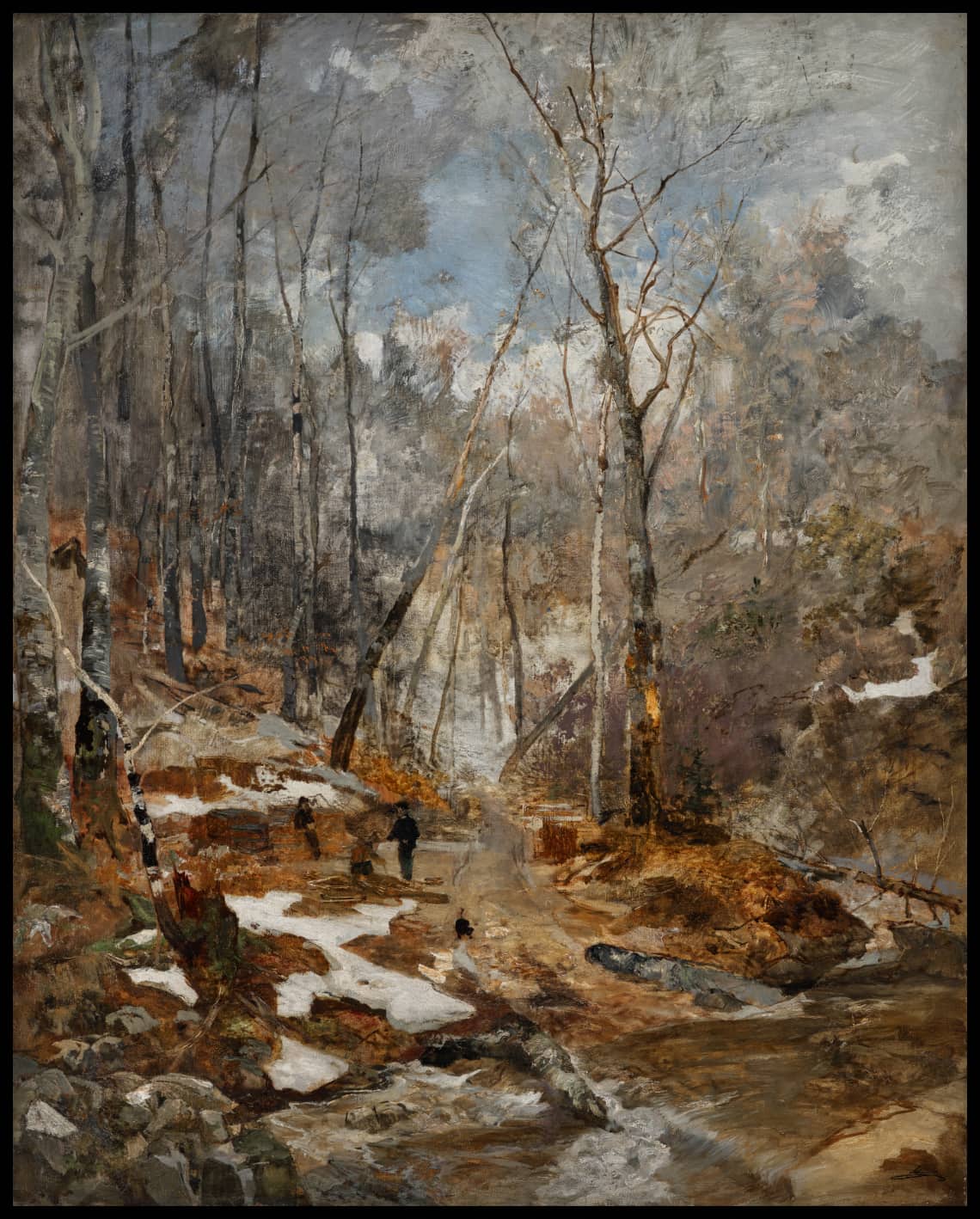 Februarstimmung, Vorfrühling im Wienerwald