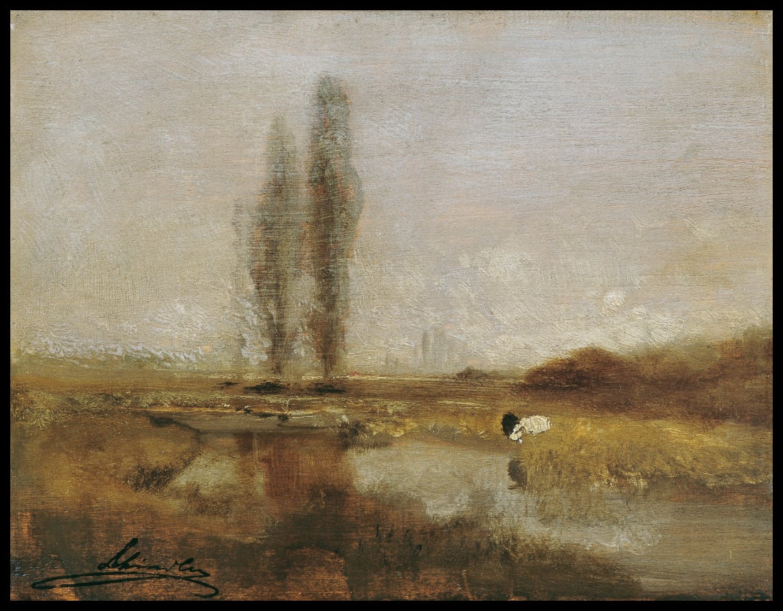 Moorlandschaft bei Lundenburg