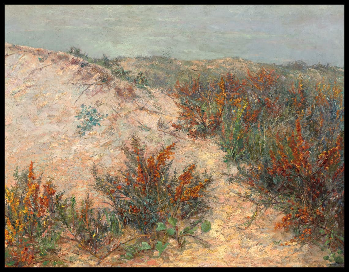 Dünen mit Stranddorn bei Knokke