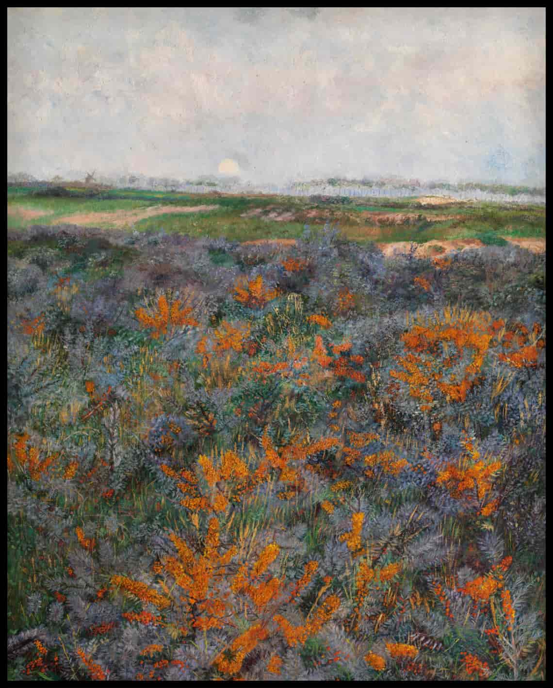 Châtaigniers en fleurs