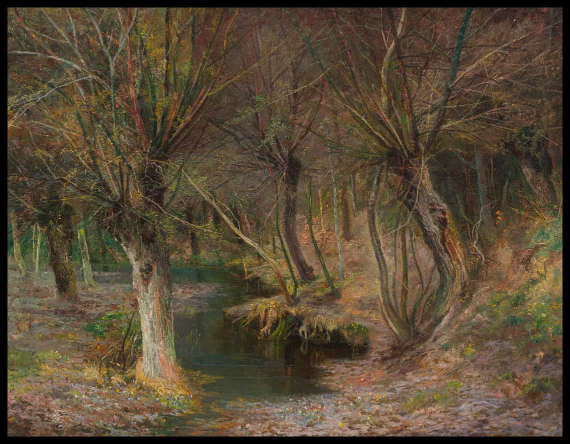 Châtaigniers en fleurs