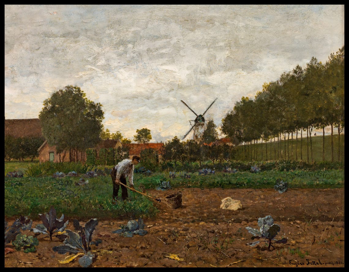 Evening landscape