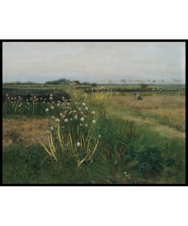 Blühendes Zwiebel­feld