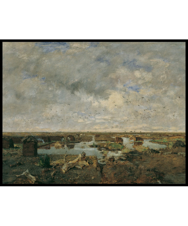 Große Moorlandschaft