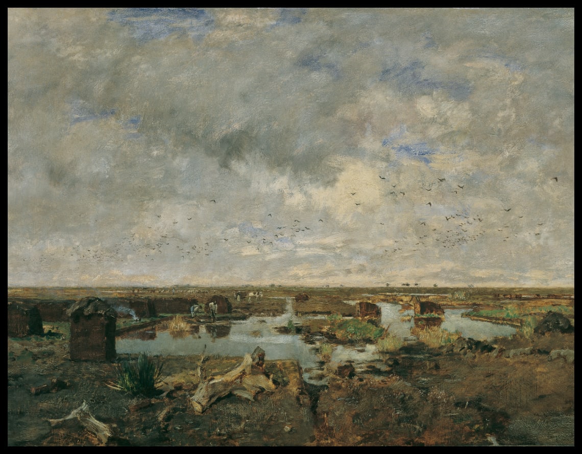 Große Moorlandschaft