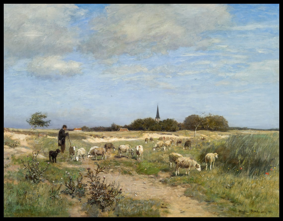 Schafherde in der Normandie