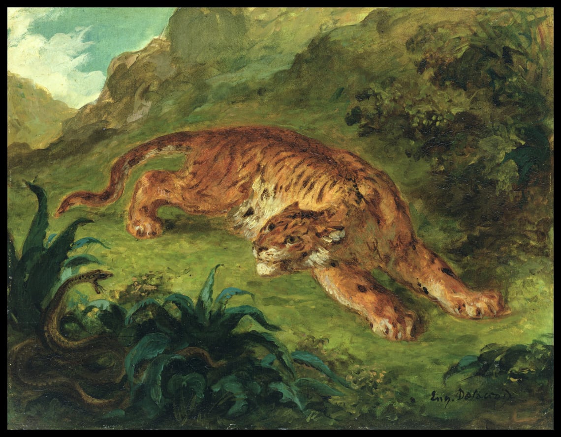 Tigre et serpent