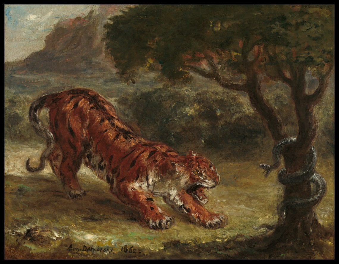 Tigre et serpent