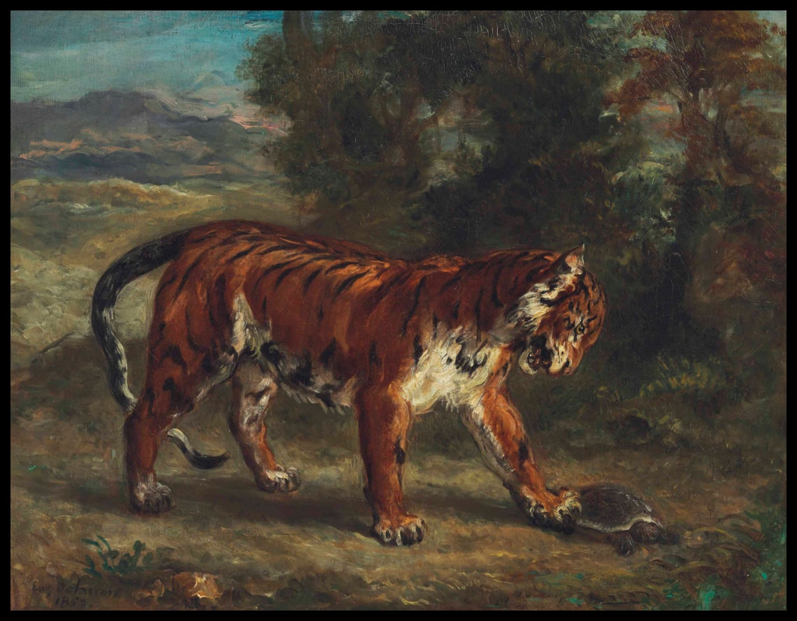 Tigre jouant avec une tortue