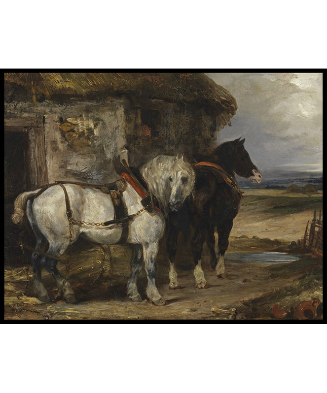 Two farm horses by a barn