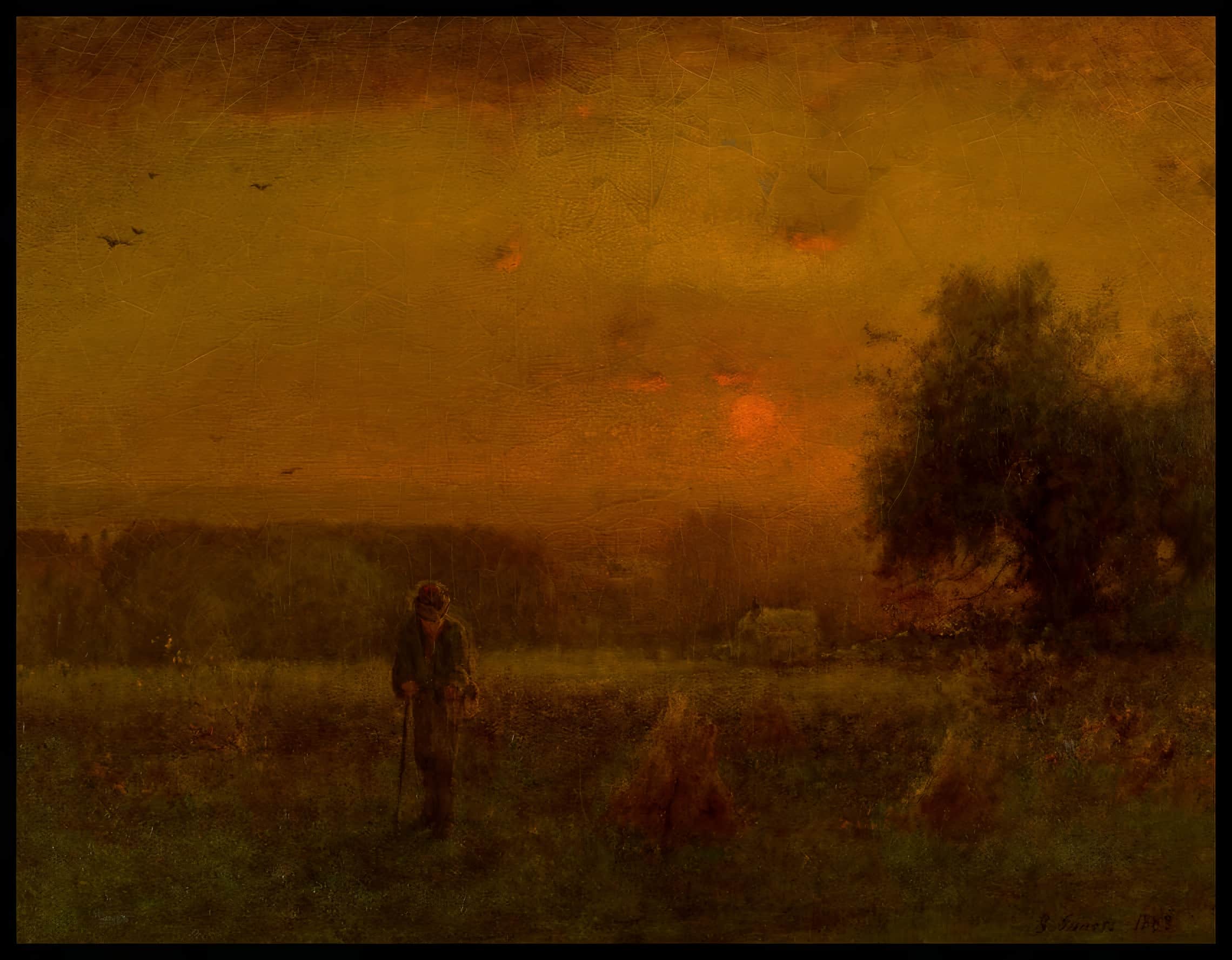 Evening Glow