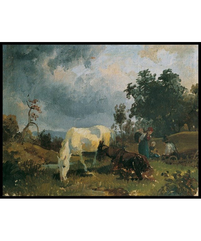 Ein Schimmel auf der Heide